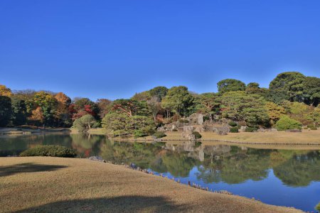 Foto de Nov 29 2023 Un verde exuberante reflejado en aguas tranquilas - Imagen libre de derechos