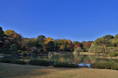 Téléchargez les photos : 29 nov. 2023 un beau jardin japonais, Rikugi en Gardens - en image libre de droit