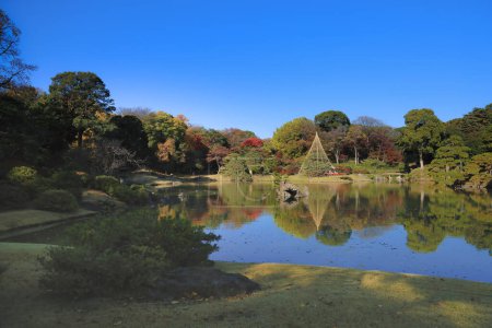 Foto de Nov 29 2023 Jardín japonés compuesto por hojas de otoño árboles y estanque - Imagen libre de derechos