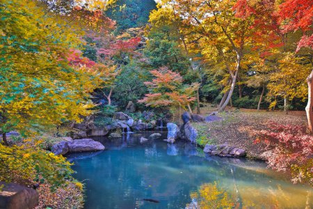 Téléchargez les photos : 29 nov. 2023 Arbres d'automne colorés reflétant dans l'eau calme du lac - en image libre de droit