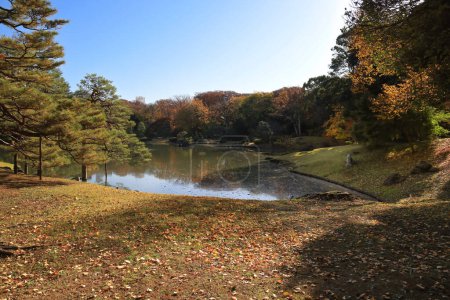 Téléchargez les photos : 29 nov. 2023 Paysage d'automne avec rivière et feuillage coloré - en image libre de droit
