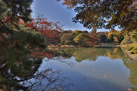 Foto de Nov 29 2023 un hermoso jardín japonés, Rikugi en Gardens - Imagen libre de derechos