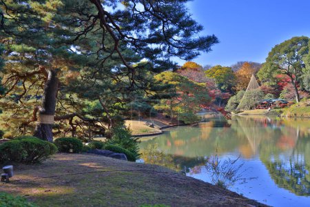 Foto de Nov 29 2023 un hermoso jardín japonés, Rikugi en Gardens - Imagen libre de derechos