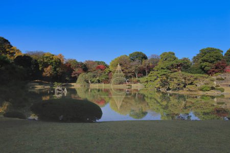 Foto de Nov 29 2023 Un verde exuberante reflejado en aguas tranquilas - Imagen libre de derechos