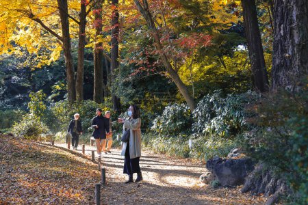 Foto de Nov 29 2023 la caminata en la pista forestal en la luz de la mañana - Imagen libre de derechos