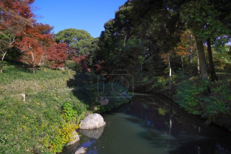 Foto de Nov 29 2023 Paisaje otoñal con río y follaje colorido - Imagen libre de derechos