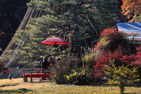 Photo for Nov 29 2023 most famous traditional Japanese garden in Tokyo - Royalty Free Image