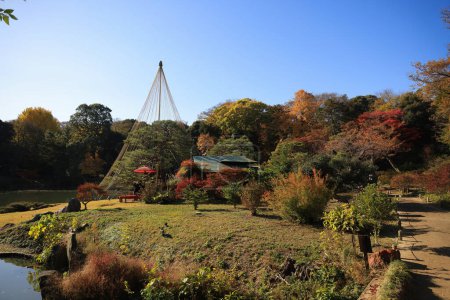 Foto de Nov 29 2023 Jardín japonés compuesto por árboles de hojas de otoño - Imagen libre de derechos