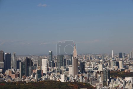 Téléchargez les photos : 29 nov. 2023 Tokyo vu du toit de Shibuya - en image libre de droit