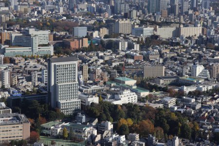 Téléchargez les photos : 29 nov. 2023 Ebisu et Shibuya, centre d'affaires de Tokyo, Japon - en image libre de droit