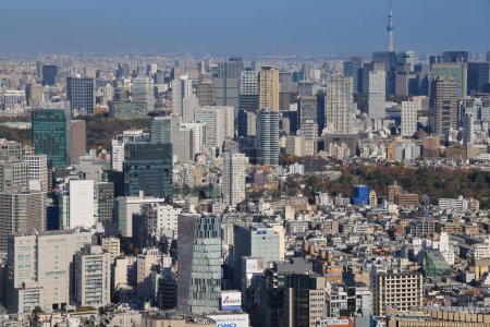 Téléchargez les photos : 29 nov. 2023 Paysage de tokyo skyline de la ville en vue aérienne - en image libre de droit