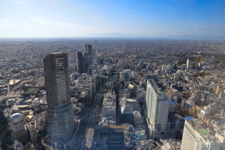 Foto de Skyline de Tokio desde Shibuya Sky, Tokio, Japón Nov 29 2023 - Imagen libre de derechos