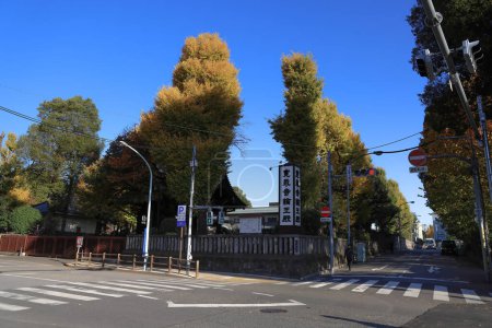 Téléchargez les photos : 29 nov. 2023 Temple Kan eiji Rinnoden à Ueno, Japon - en image libre de droit