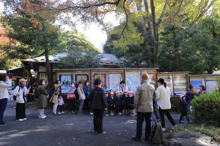 Téléchargez les photos : 29 nov. 2023 la porte principale des Jardins Koishikawa Korakuen - en image libre de droit