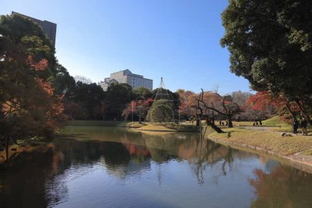 Téléchargez les photos : 29 nov. 2023 Jardin Koishikawa Korakuen en automne à Tokyo - en image libre de droit
