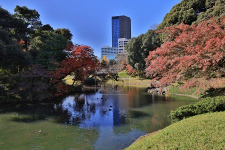 Téléchargez les photos : Nov 29 2023 Koishikawa Korakuen graden, Japonais et touristes - en image libre de droit