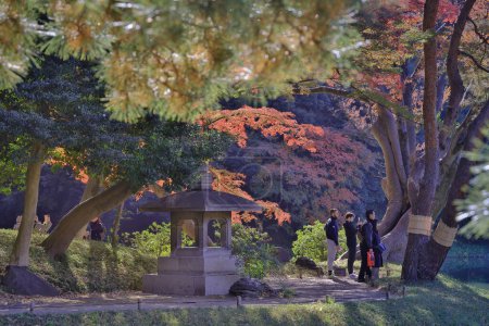 Téléchargez les photos : Nov 29 2023 a Coups de feu paysagers au jardin de Koishikawa Korakuen, - en image libre de droit
