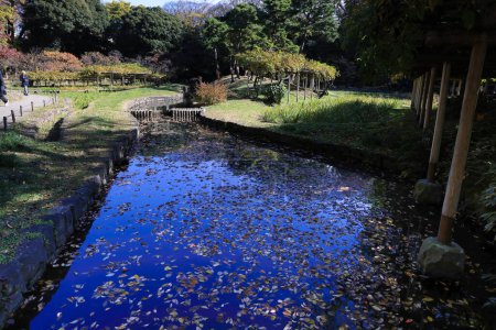 Téléchargez les photos : 29 nov. 2023 Parc public de style japonais et jardin en automne - en image libre de droit
