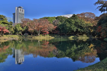 Téléchargez les photos : 29 nov. 2023 Spot au jardin Koishikawa Korakuen, Okayama, Japon. - en image libre de droit
