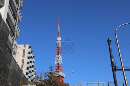 Téléchargez les photos : Tokyo Tower est un point de repère de la saison d'automne avec un ciel bleu Nov 28 2023 - en image libre de droit