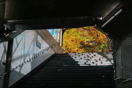 Téléchargez les photos : 28 nov 2023 les escaliers de la station de métro. Entrée et sortie souterraines. - en image libre de droit