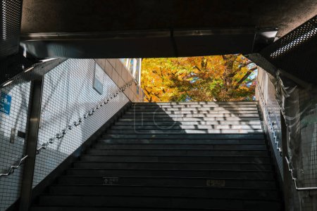 Téléchargez les photos : 28 nov 2023 les escaliers de la station de métro. Entrée et sortie souterraines. - en image libre de droit