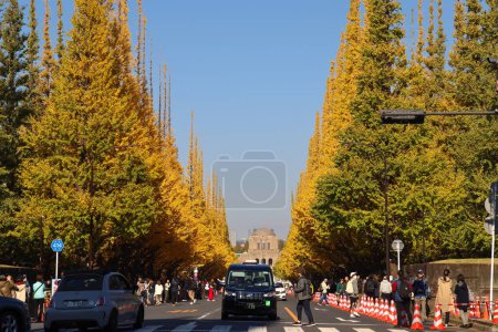 Foto de Nov 28 2023 La avenida de la calle Ginkgo en Meiji Jingu Gaien Park - Imagen libre de derechos
