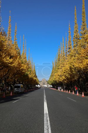 Photo for Nov 28 2023 The Ginkgo street avenue in Meiji Jingu Gaien Park - Royalty Free Image