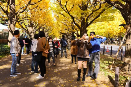 Photo for Nov 28 2023 people among the trees at Jingu Gaien, Chhiyoda Ward, Tokyo - Royalty Free Image