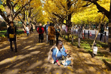 Téléchargez les photos : 28 nov. 2023 Feuillage d'automne coloré dans une forêt avec un groupe de personnes marchant. - en image libre de droit