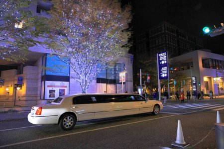 Téléchargez les photos : 28 nov. 2023 Illumination de Noël, illumination led et neige à Roppongi - en image libre de droit