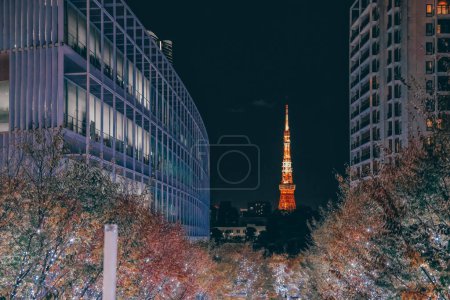 Foto de Nov 28 2023 Iluminación de Navidad en Tokio desde Roppongi Hills - Imagen libre de derechos