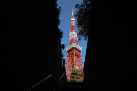 Téléchargez les photos : Point from step near walkway in Tokyo city, Japon Nov 28 2023 - en image libre de droit