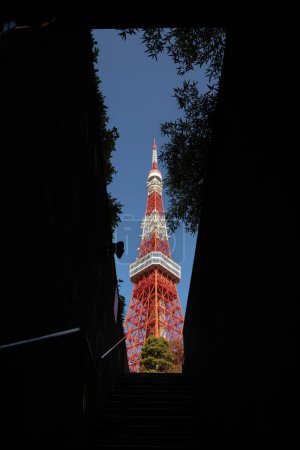 Téléchargez les photos : Escaliers vers la tour de Tokyo Voir la majestueuse tour de Tokyo 28 Nov 2023 - en image libre de droit