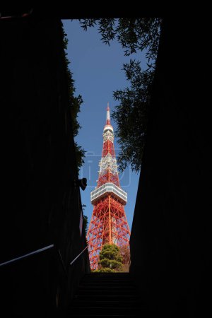 Photo for Tokyo Tower, Japan. at a passageway in Tokyo, Japan - Royalty Free Image