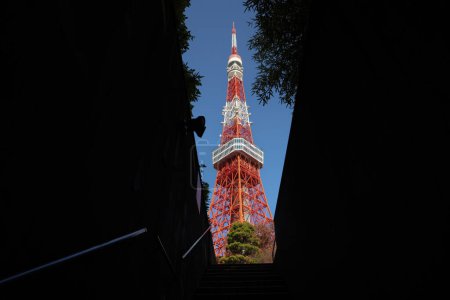 Téléchargez les photos : Escaliers vers la tour de Tokyo Voir la majestueuse tour de Tokyo 28 Nov 2023 - en image libre de droit