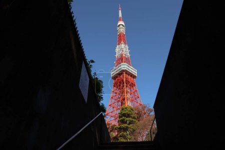 Foto de Escaleras a la Torre de Tokio Viendo la majestuosa Torre de Tokio Nov 28 2023 - Imagen libre de derechos