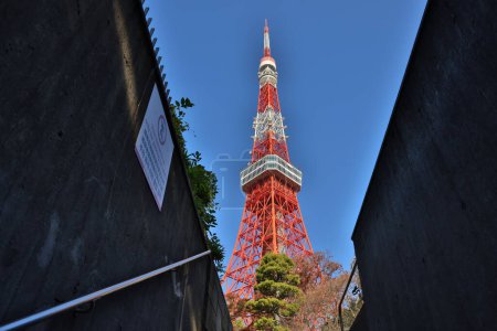 Téléchargez les photos : View point from step near walkway in Tokyo city, Japon Nov 28 2023 - en image libre de droit