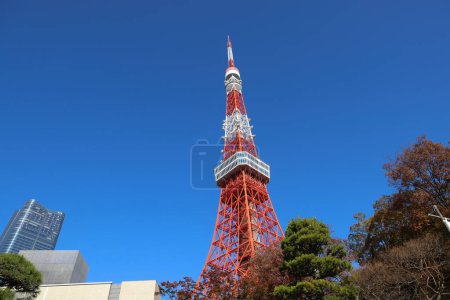 Photo for A Tokyo Tower, landmark of Tokyo city, Nov 28 2023 - Royalty Free Image