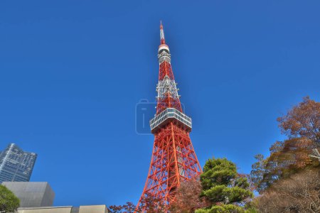 Téléchargez les photos : Vue sur la structure de la tour de Tokyo au Japon Nov 28 2023 - en image libre de droit