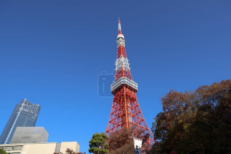 Téléchargez les photos : Vue sur la structure de la tour de Tokyo au Japon Nov 28 2023 - en image libre de droit