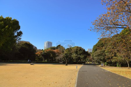 Téléchargez les photos : 28 nov. 2023 Le paysage de Shinjuku gyo en au Japon - en image libre de droit