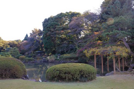 Téléchargez les photos : 28 nov. 2023 Tokyo parcs les plus grands et les plus populaires, Japon - en image libre de droit