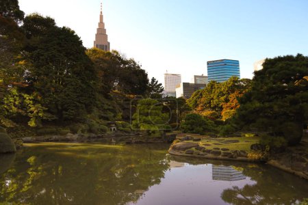 Téléchargez les photos : 28 nov. 2023 Grands étangs à Shinjuku Gyo en National Garden - en image libre de droit