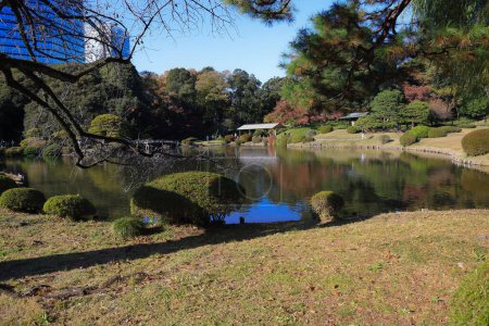 Téléchargez les photos : 28 nov. 2023 Le paysage de Shinjuku gyo en au Japon - en image libre de droit