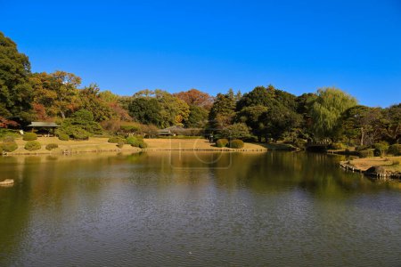 Téléchargez les photos : 28 nov. 2023 Le feuillage automnal se reflète sur un lac calme entouré d'arbres. - en image libre de droit