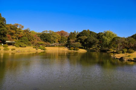 Foto de Nov 28 2023 Colorido follaje otoñal reflejado en un tranquilo lago - Imagen libre de derechos