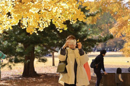 Téléchargez les photos : 28 nov. 2023 Le paysage d'automne dans le parc Gyoen de Shinjuku, - en image libre de droit
