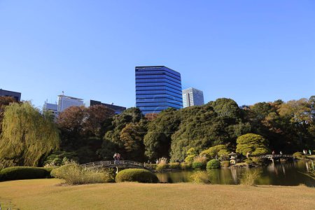 Téléchargez les photos : 28 nov. 2023 a Jardin national de Shinjuku Gyoen, grand parc - en image libre de droit