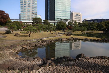 Photo for Kyushibarikyu Japanese Garden with the tall building Nov 27 2023 - Royalty Free Image